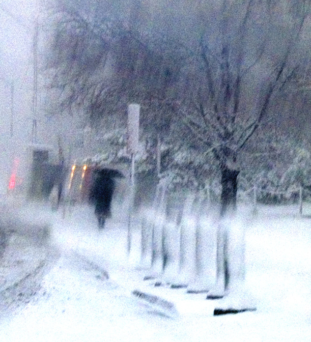 Snowy Day in Salt Lake City