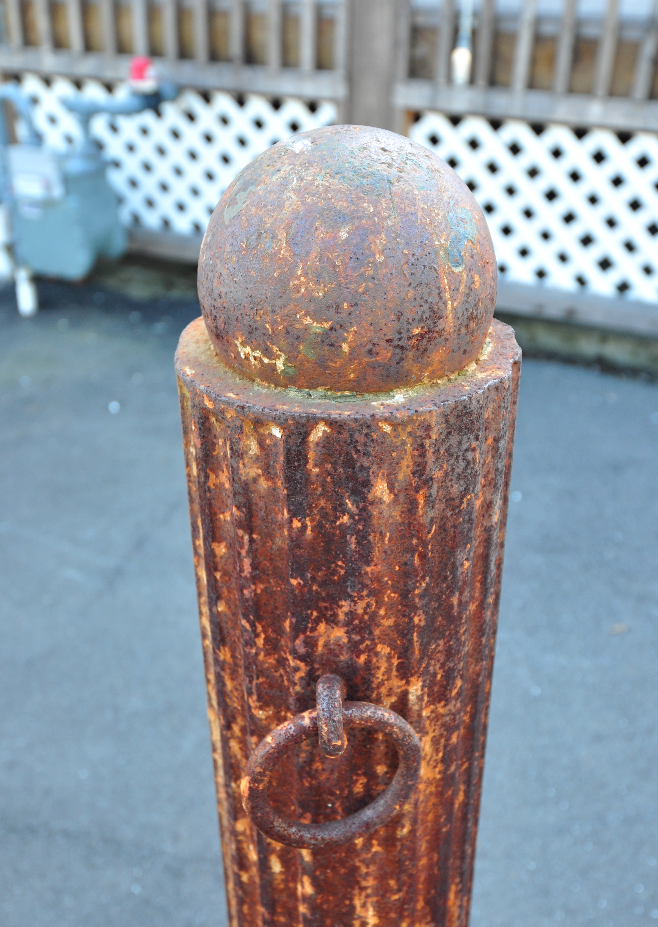 DSC_0105_105.JPG