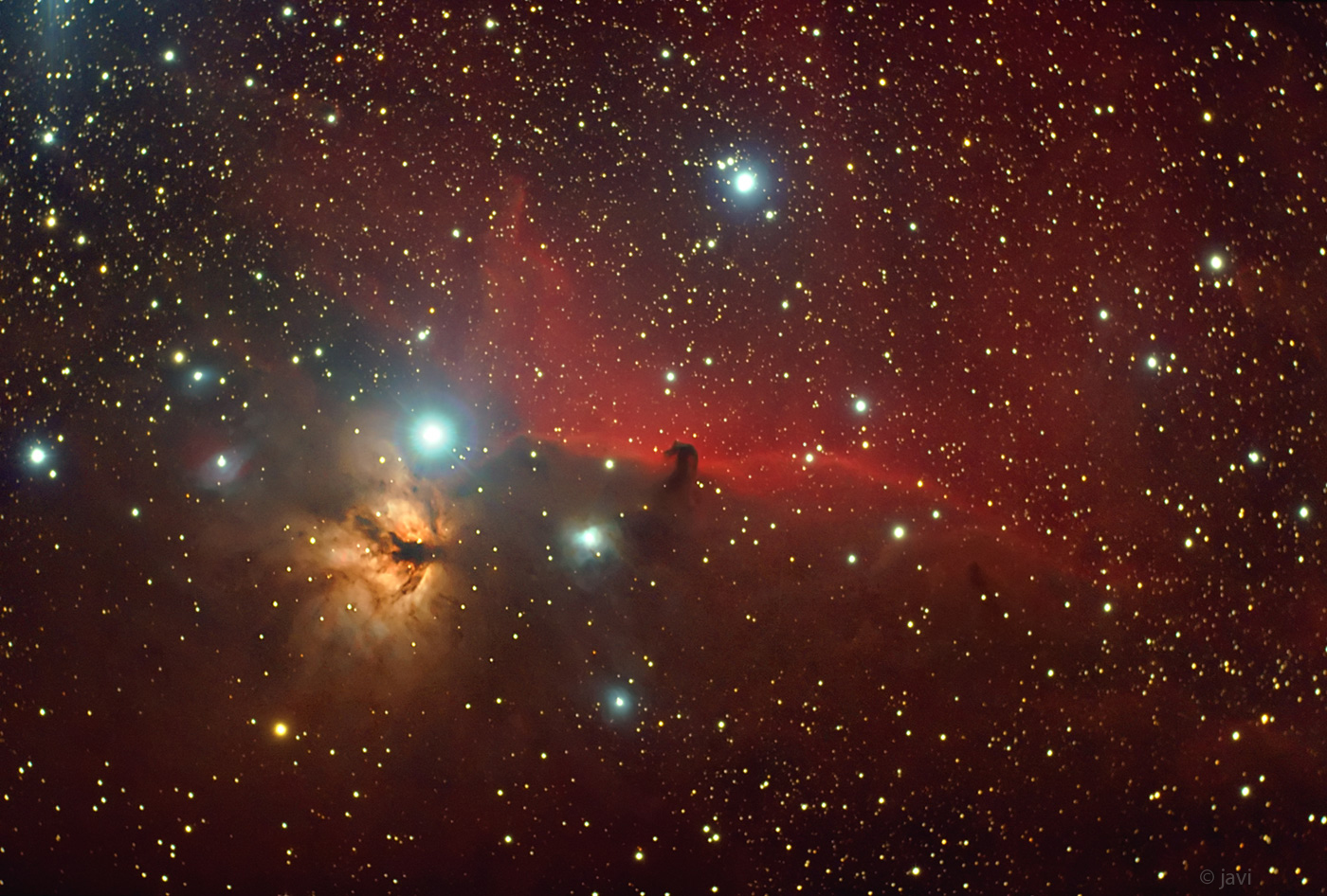 Horsehead