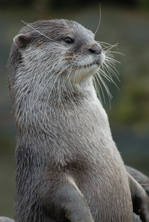London Zoo