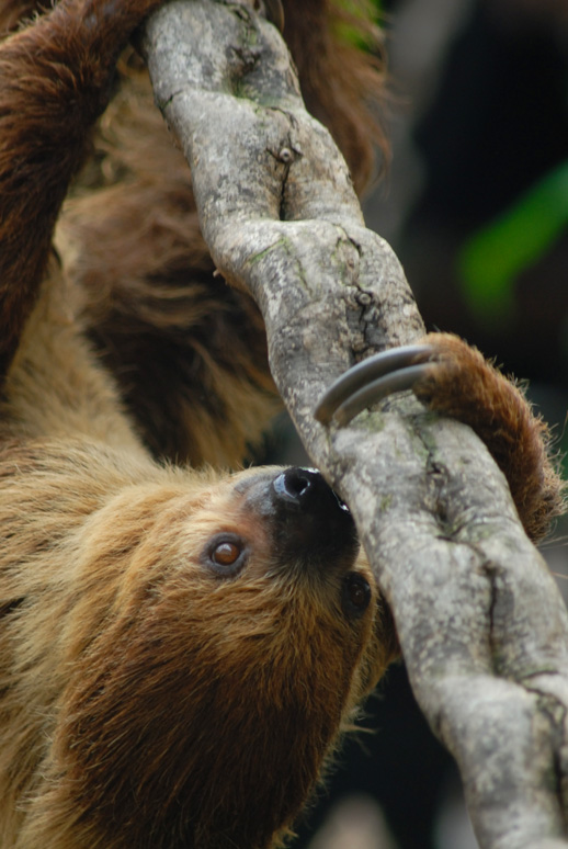London Zoo