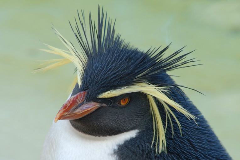 London Zoo