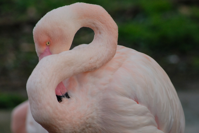 London Zoo