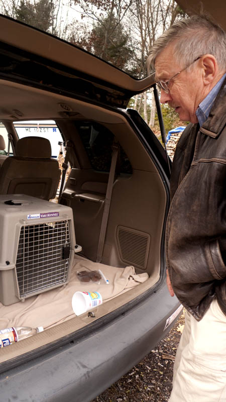 ....figure out how the crate will fit into the car.