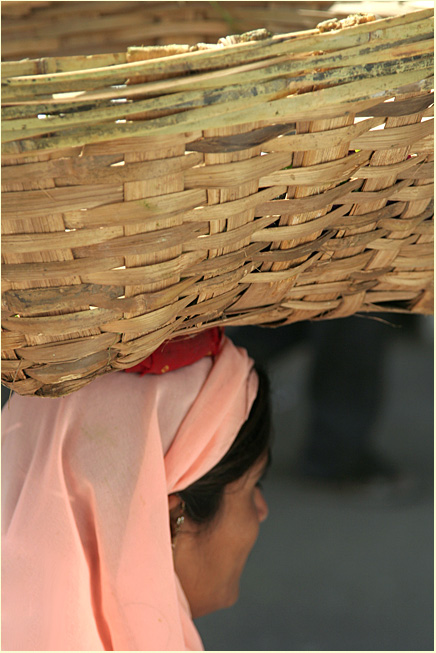 Woman with basket-Udaipur