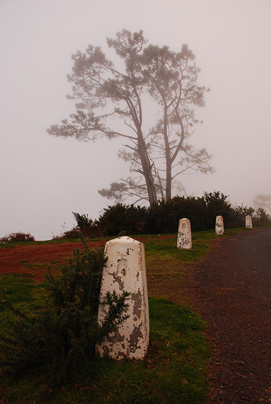 ER-210 north of Prazeres