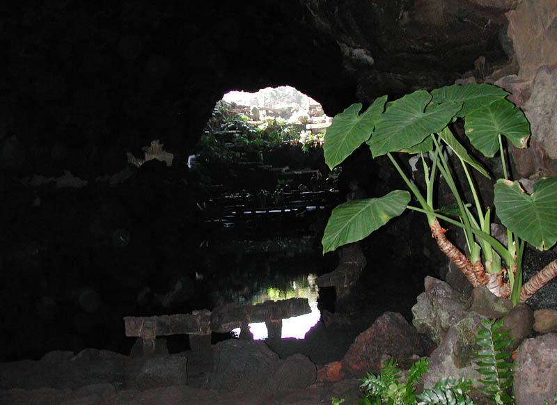 Cueva de los Jameos del Agua