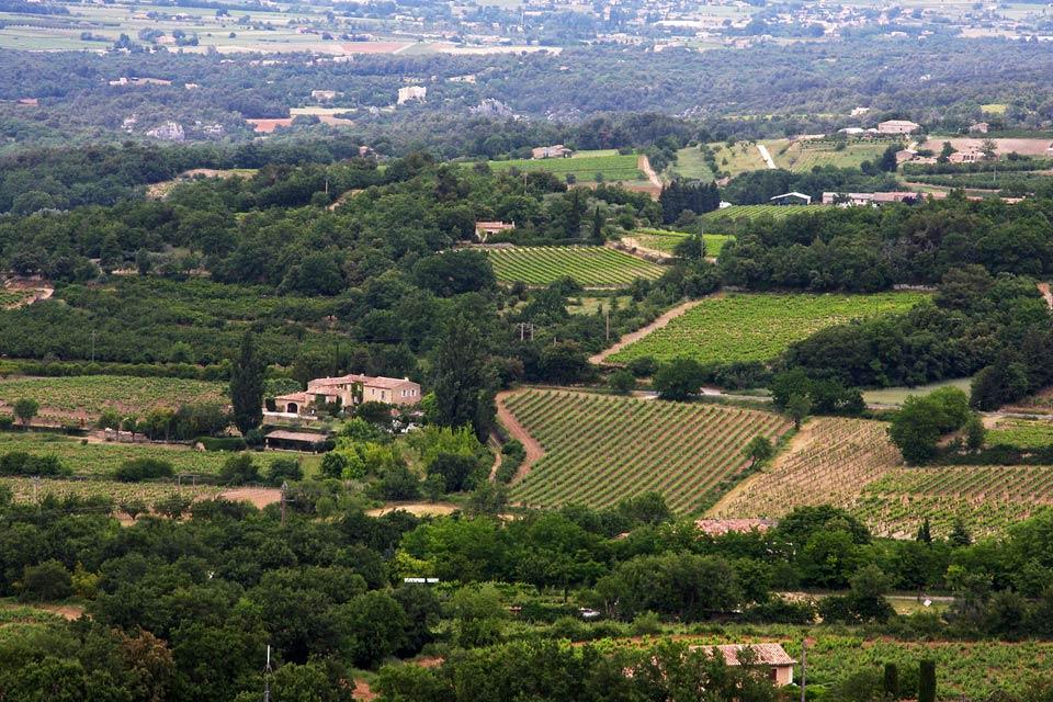 view from Bonnieux