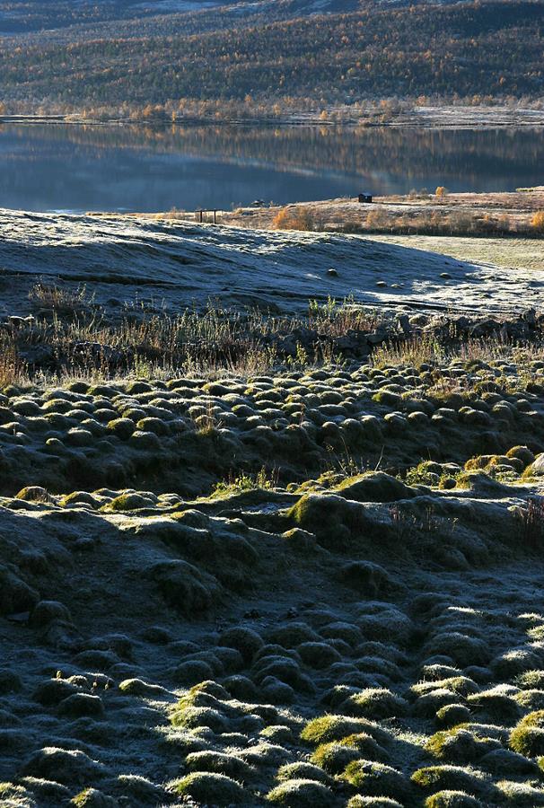 Dovrefjell