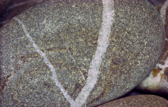 Letter V