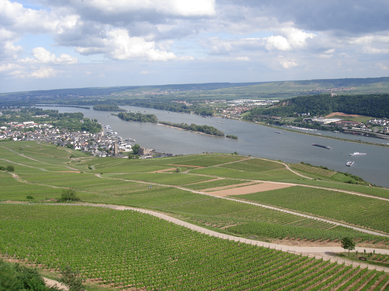 Rdesheim