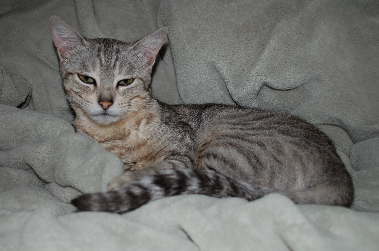 Tabitha DSC_1549.JPG