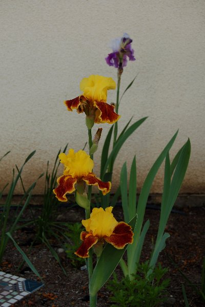 DSC_3612.JPG
