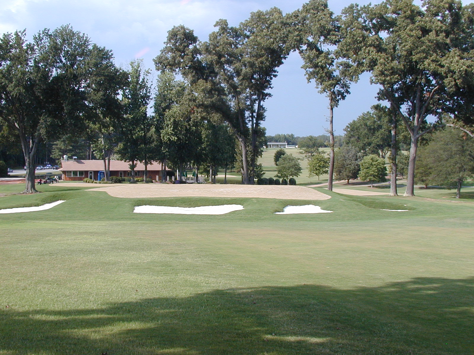 #6 Green (After Sprigging)