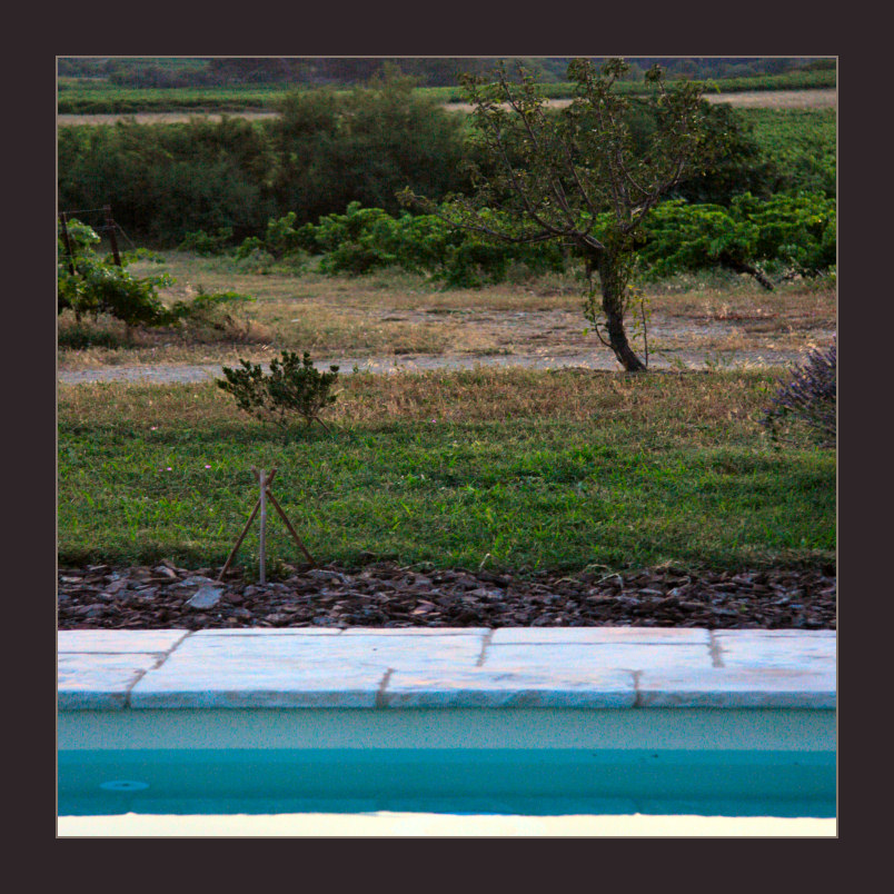 pool in the vines