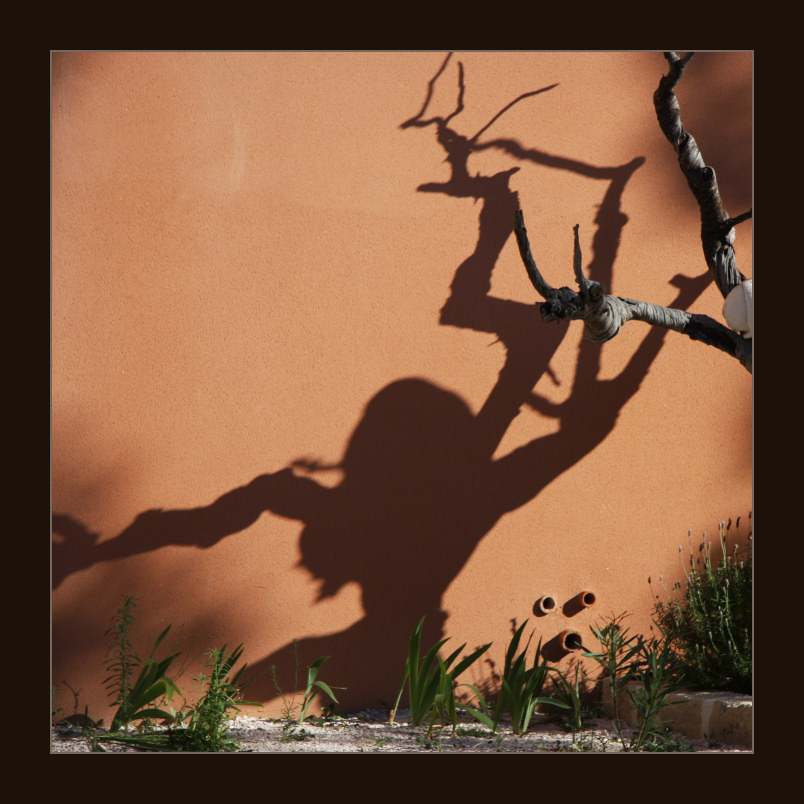 shadows