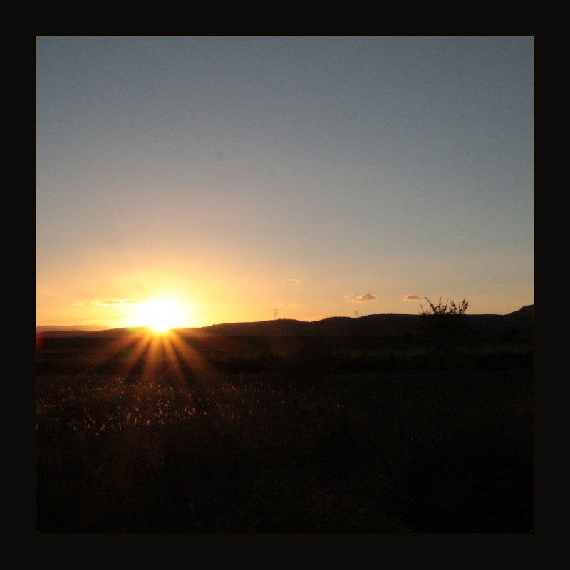 evening light