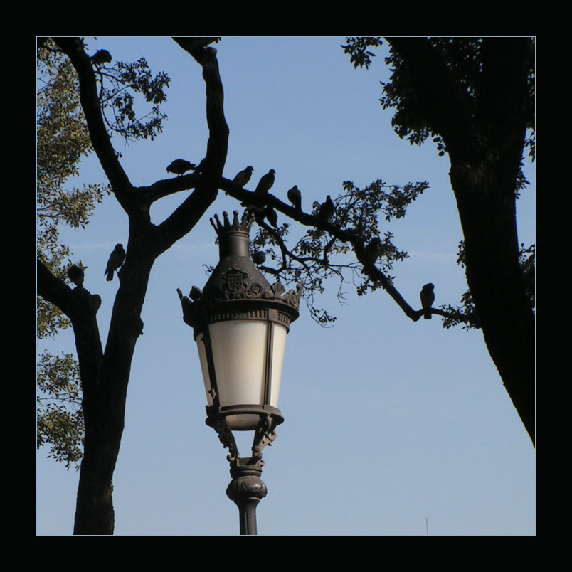silhouettes