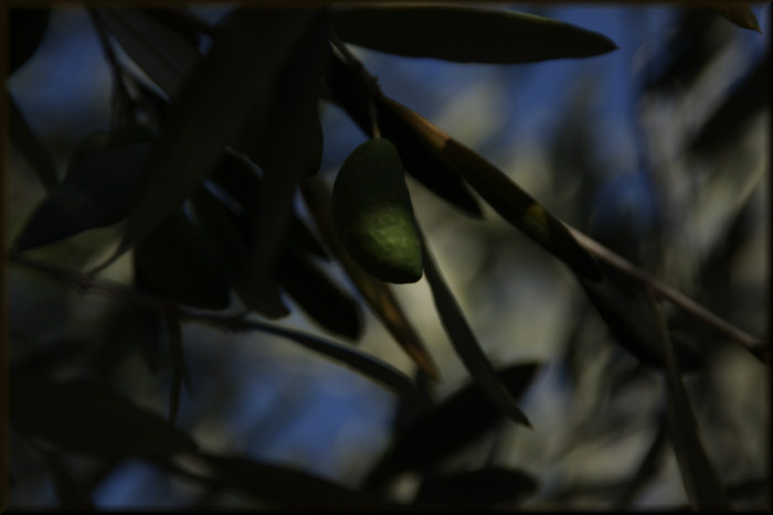 ripe