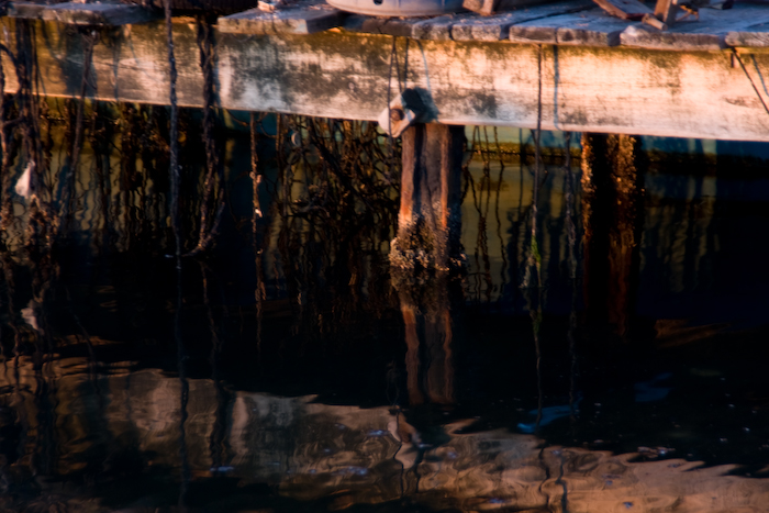 wood, water and rust