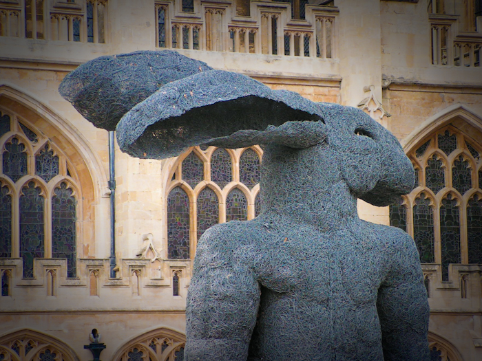 Bath bunny