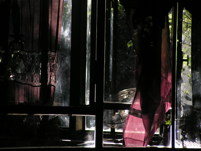 the window