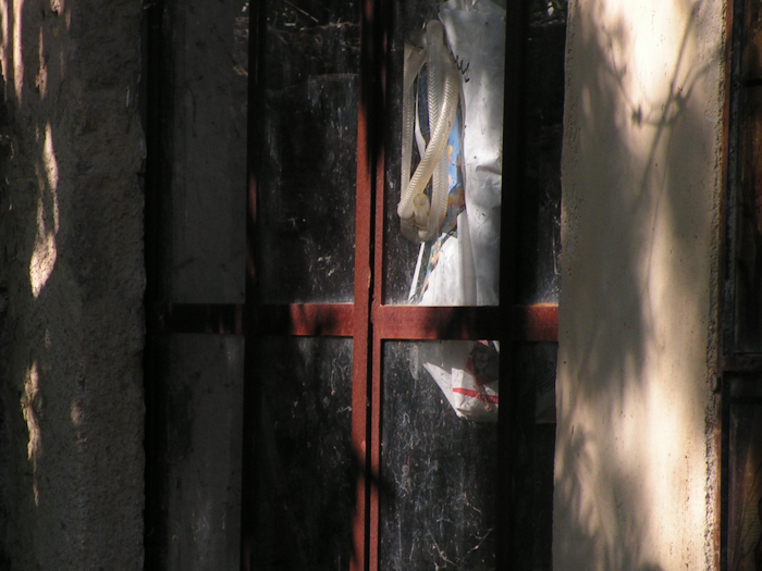 a window