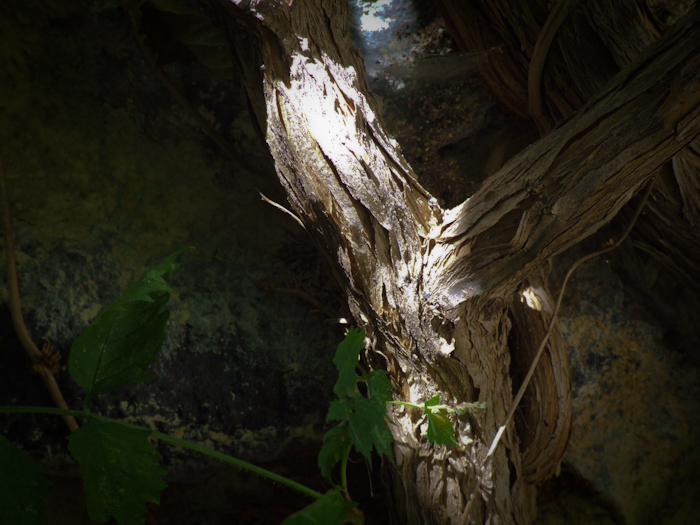 wood and stone