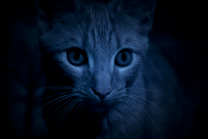 Paranoid Eyes