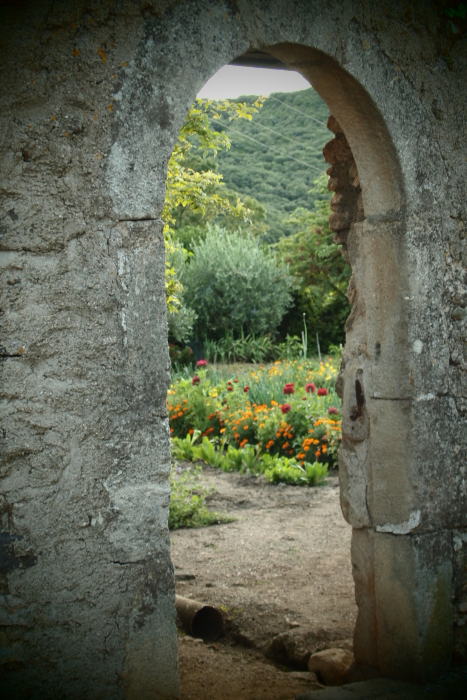 in the gardens
