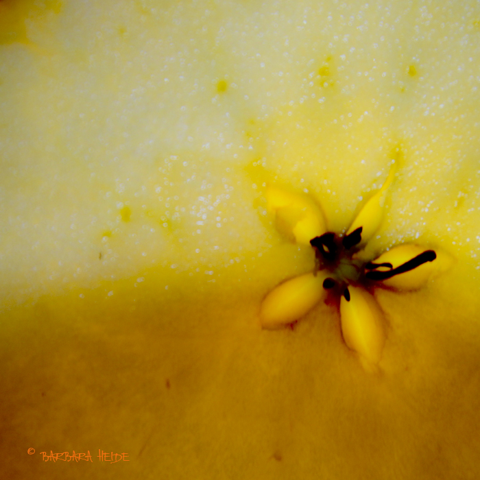 February  # 10: Slice of Apple