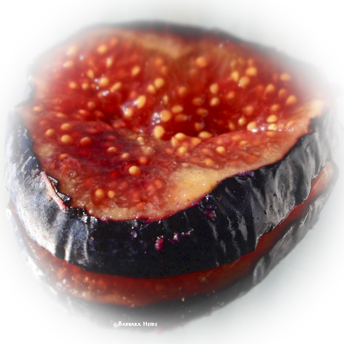 February 22 : Juicy Fig