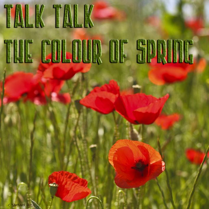 Talk Talk : The Colour of Spring