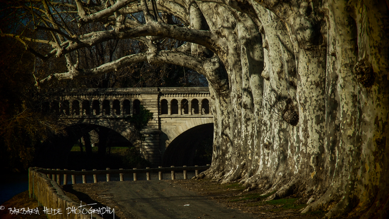 WEEKLY INFORMAL CHALLENGE 140: Unusual Architecture