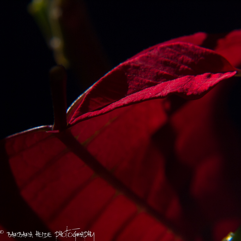 square light-play with red