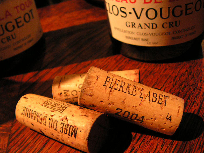 Clos-Vougeot  2004