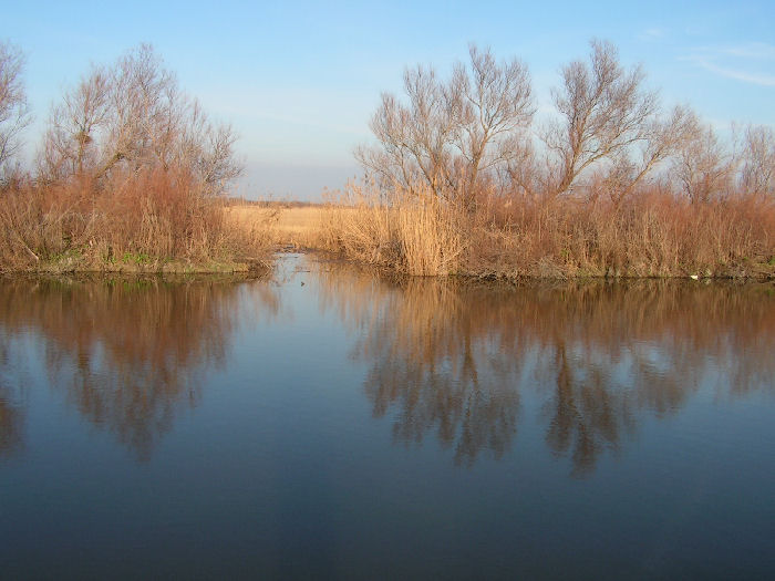 camargue