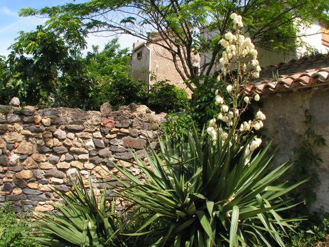 next to the pool