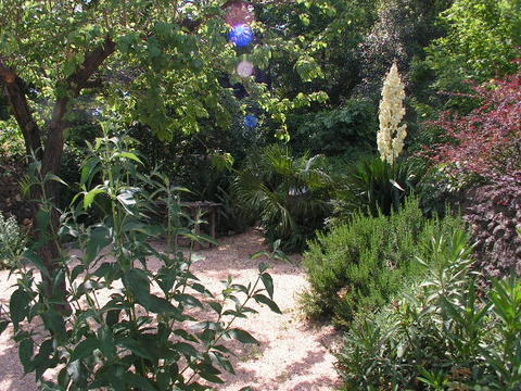 garden