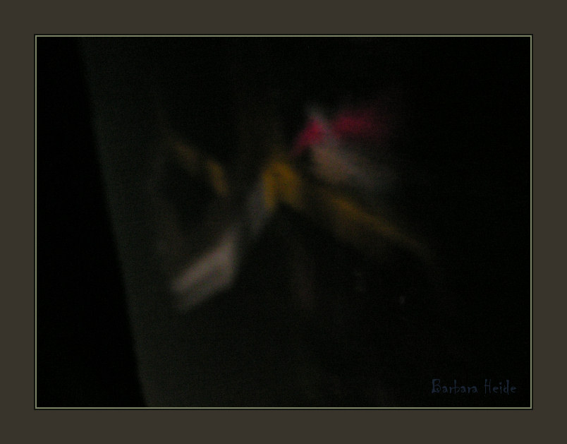camera obscura