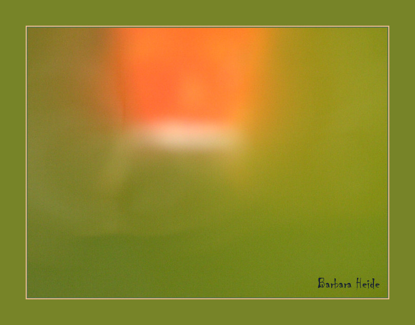 goldfish