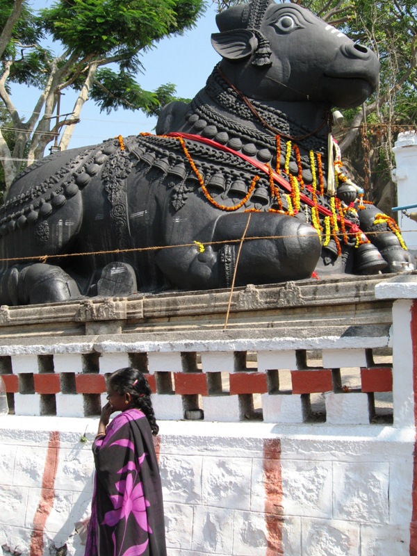 Mysore 29.JPG