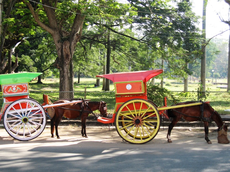 Mysore 48.JPG