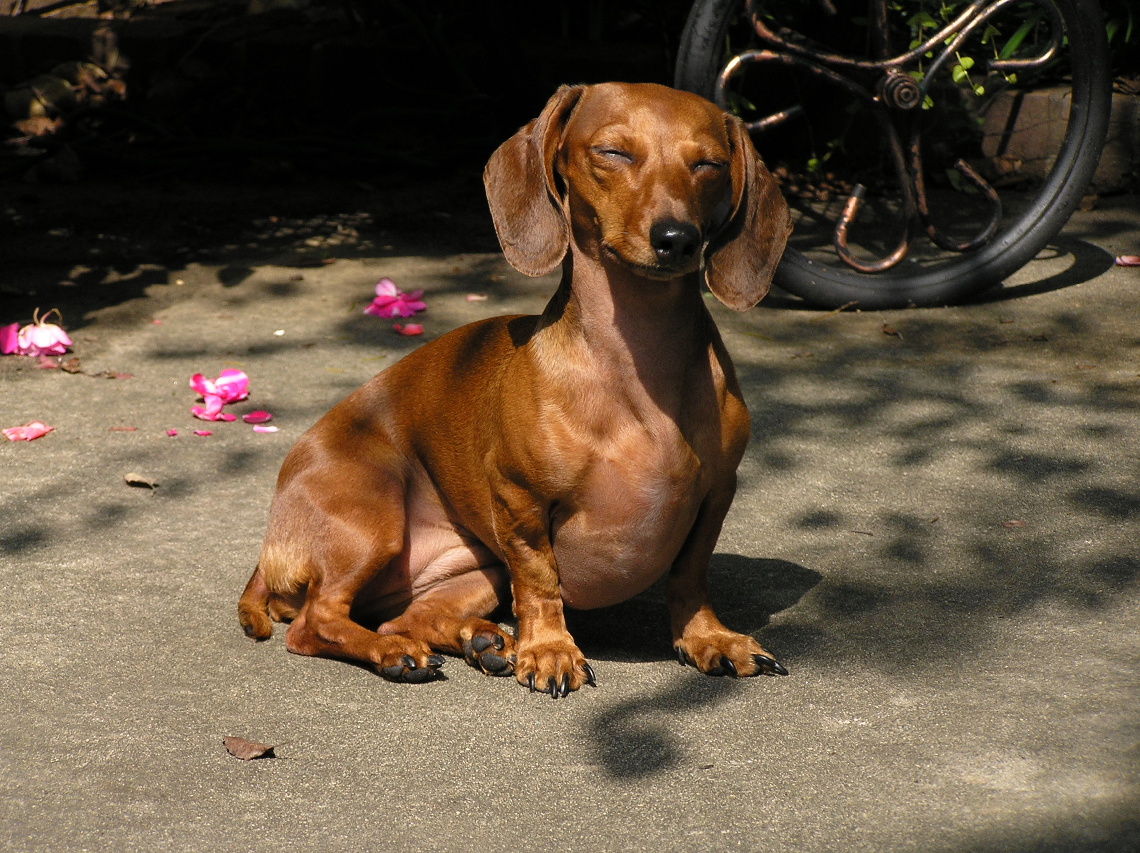 SUN BATHING