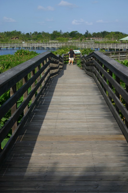 Boardwalk Facing East