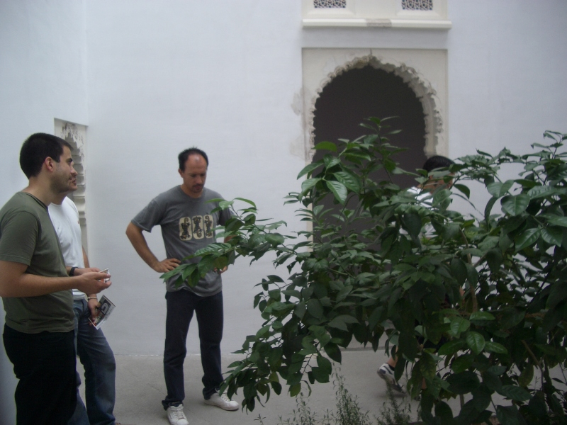 IMGP2907.JPG