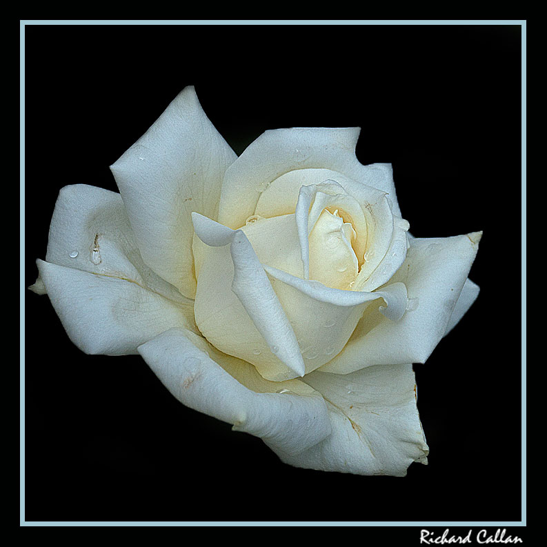 DSC_8953_9155a.jpg