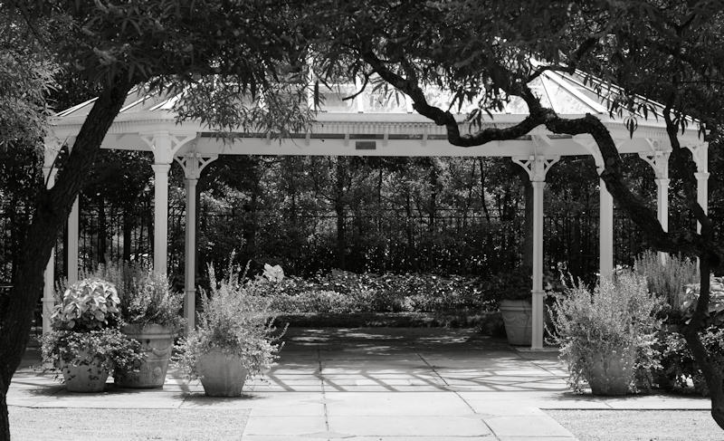 DSC01946psbw.jpg