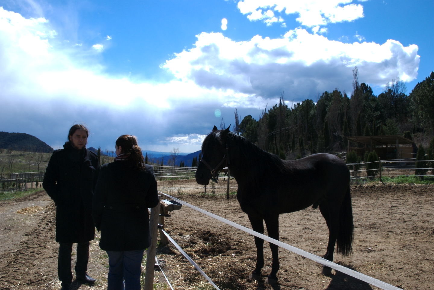 Bernat, Francine, Horse