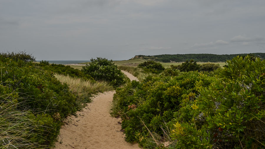 Cape 2012-123-DSC_0706-Edit.jpg